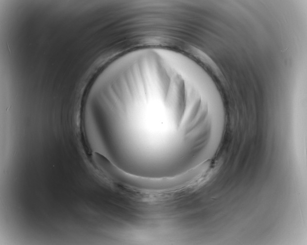 X0000088130938200706041945