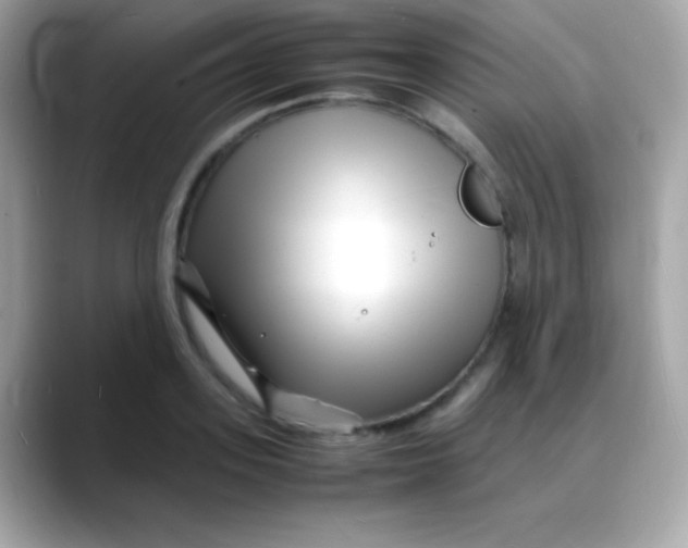 X0000088130939200706041946