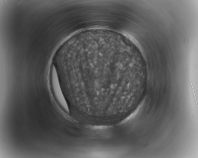 X0000088130941200706041946