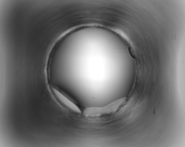 X0000088130943200706041946