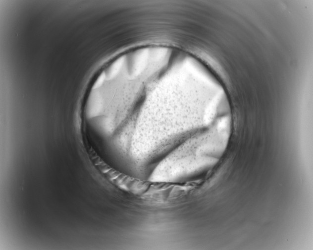 X0000088130944200706041946