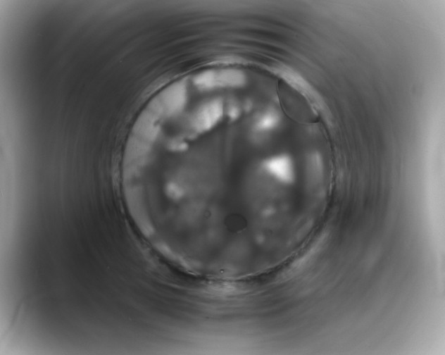 X0000088130945200706041946