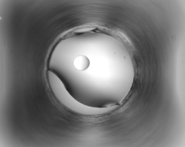 X0000088130948200706041946