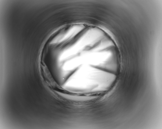 X0000088130949200706041946