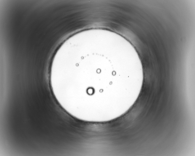 X0000088130950200706041946