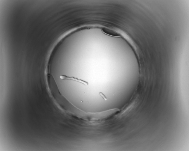 X0000088130951200706041946