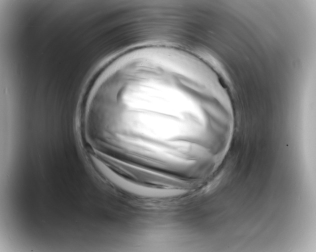 X0000088130952200706041946