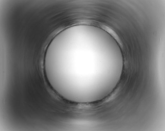 X0000088130954200706041946