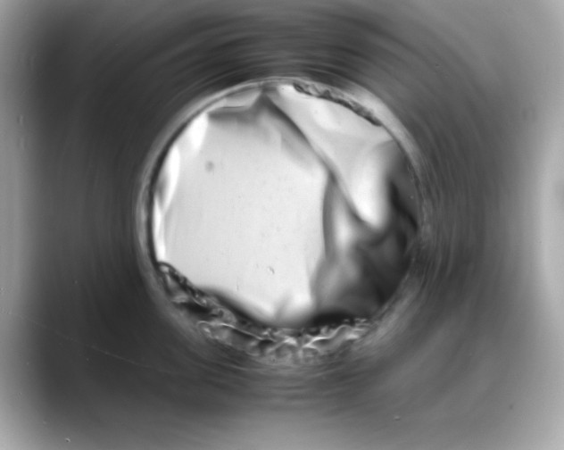 X0000088130955200706041946