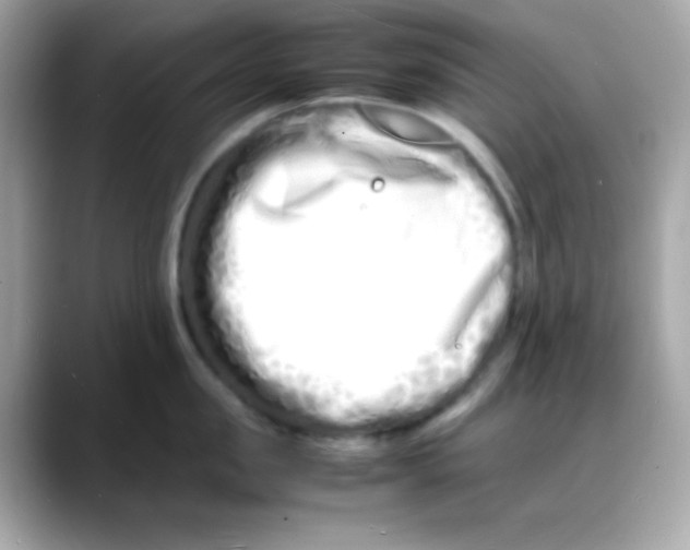 X0000088130957200706041946