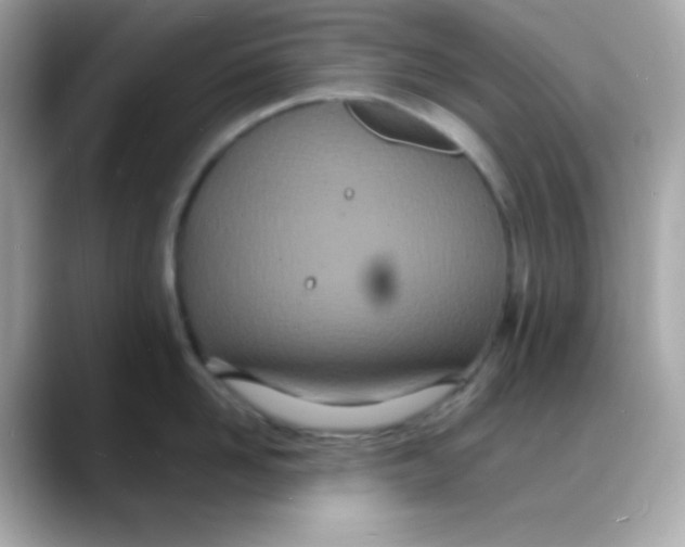 X0000088130958200706041946