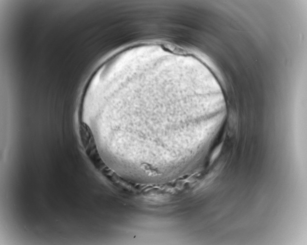 X0000088130959200706041946