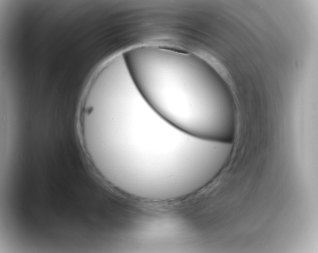 X0000088130960200706041946