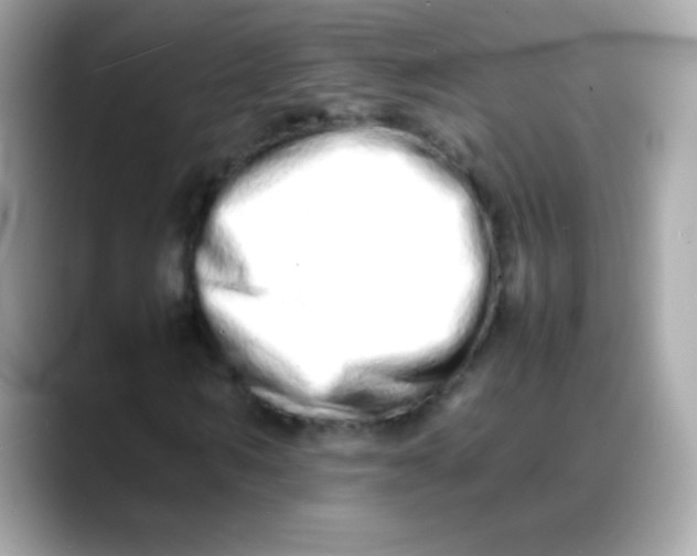 X0000088130962200706041945