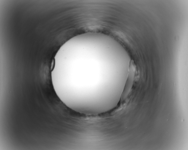 X0000088130964200706041945