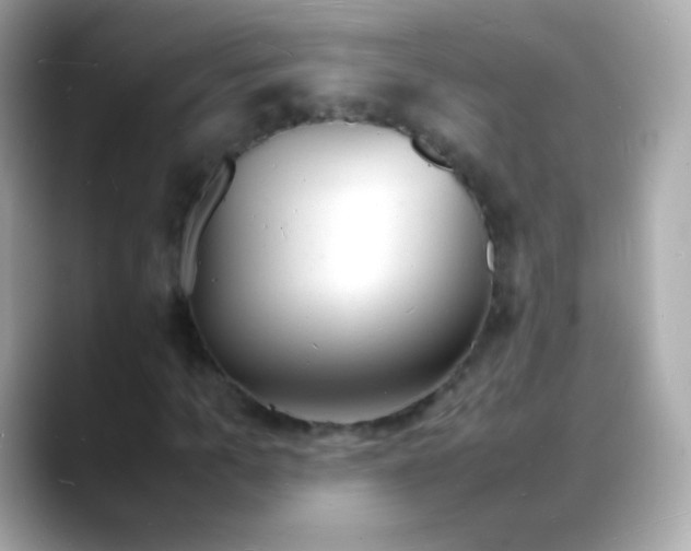 X0000088130965200706041945