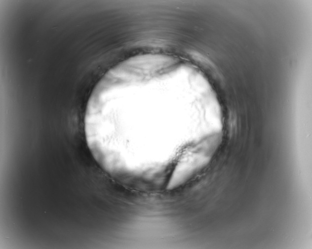 X0000088130966200706041945