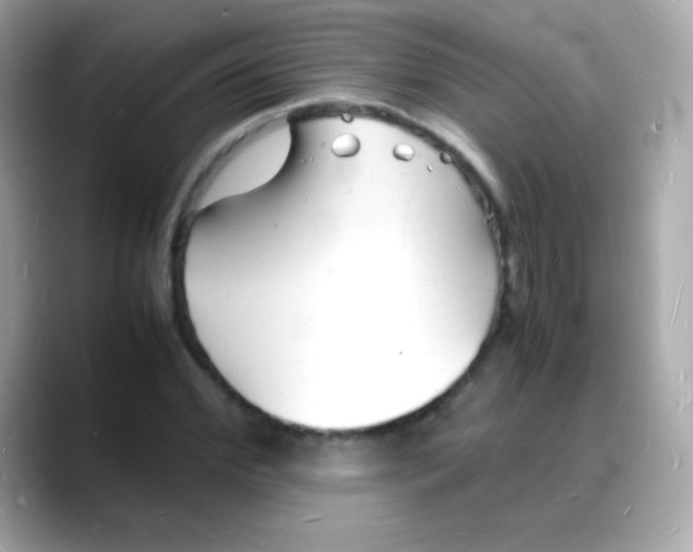 X0000088130972200706041945