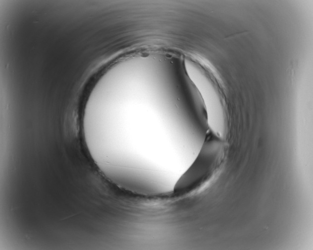 X0000088130973200706041945