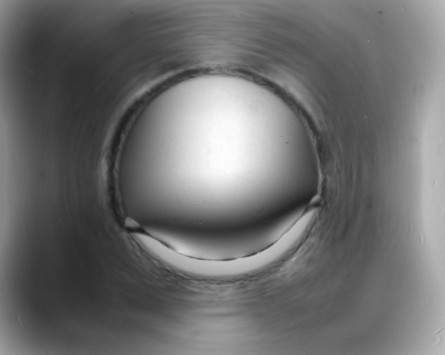 X0000088130975200706041945