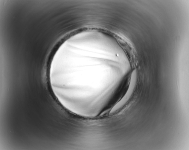 X0000088130976200706041945