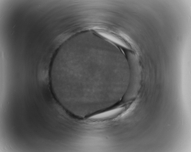 X0000088130977200706041945