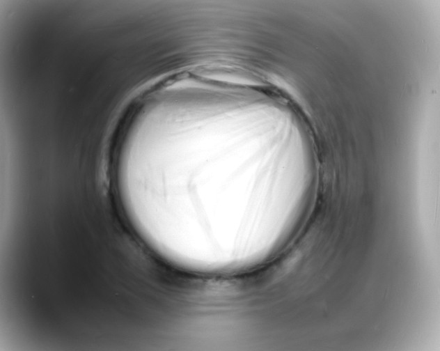 X0000088130979200706041945