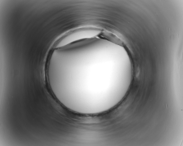 X0000088130980200706041945