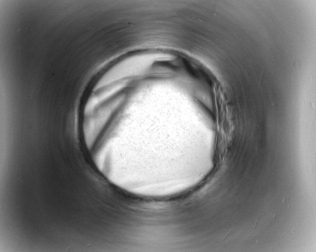 X0000088130982200706041945