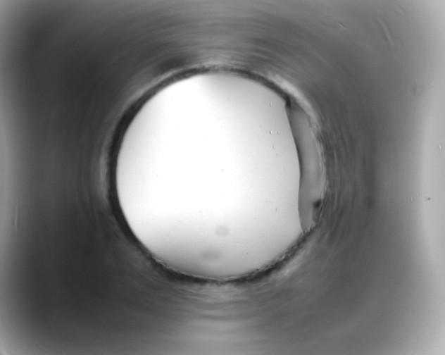 X0000088130983200706041945