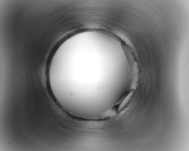 X0000088130984200706041945