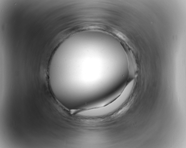 X0000088130985200706041945