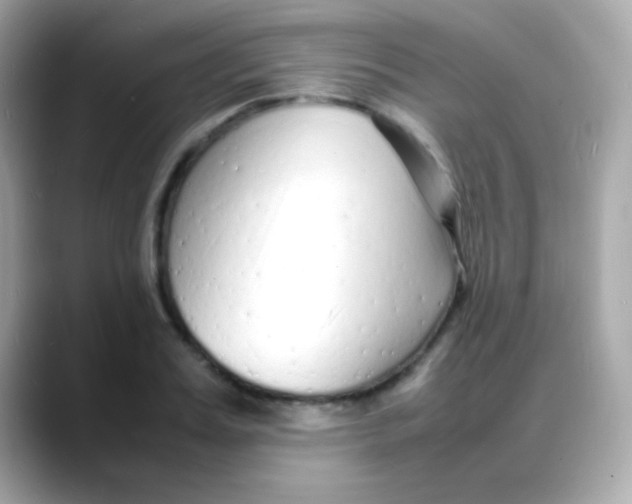 X0000088130987200706041945