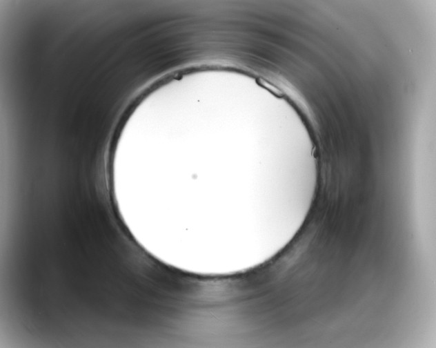 X0000088130988200706041945