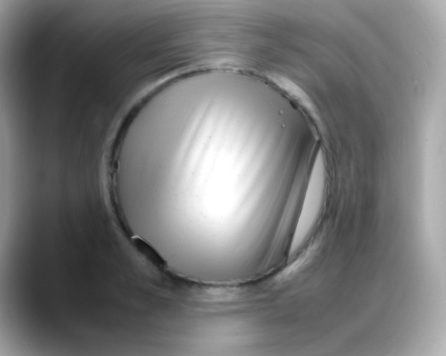 X0000088130989200706041945