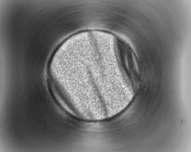 X0000088130990200706041945