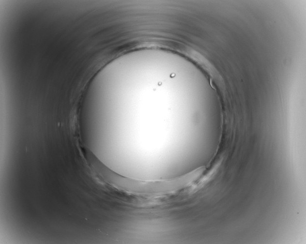 X0000088130993200706041945