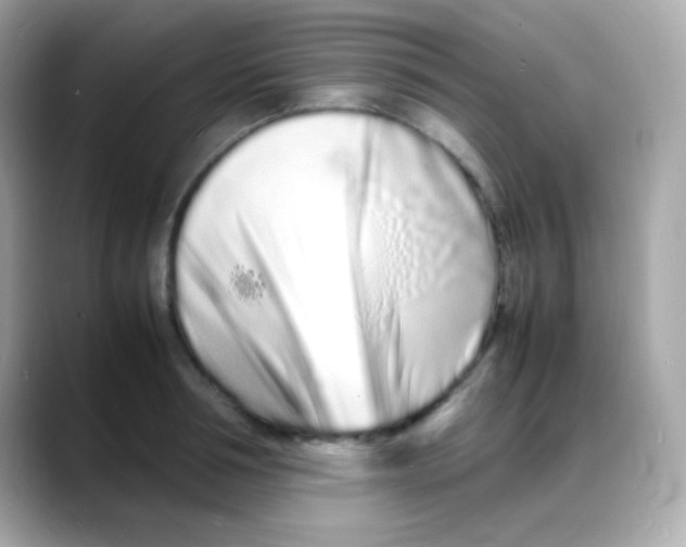 X0000088130994200706041945