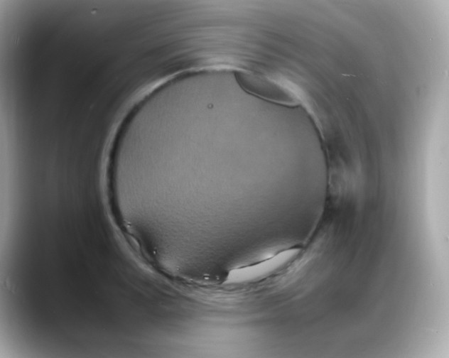 X0000088130995200706041945