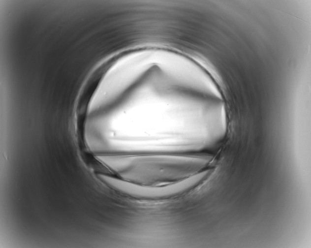 X0000088130996200706041945