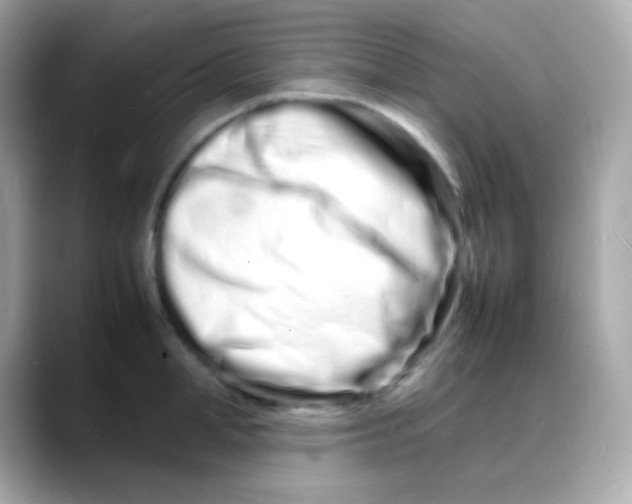 X0000088130998200706041945