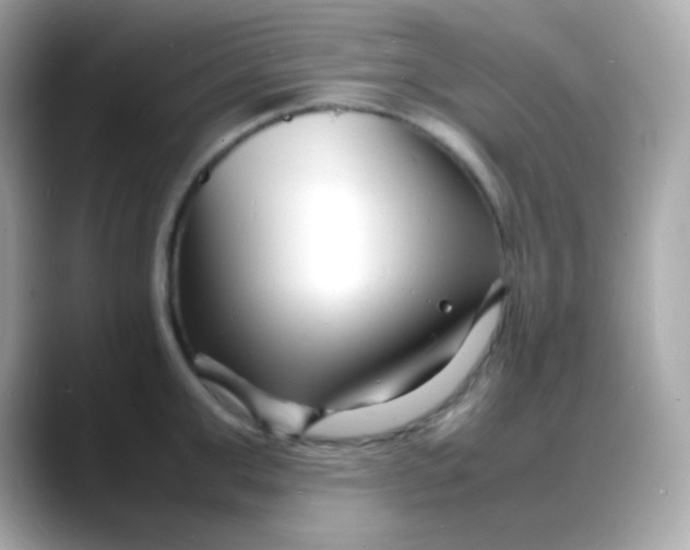 X0000088130999200706041945