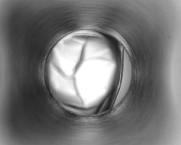 X0000088131002200706041945