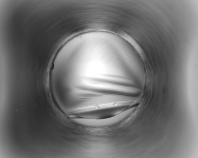 X0000088131004200706041945