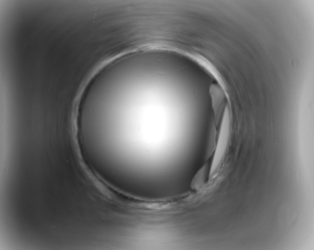 X0000088131005200706041945