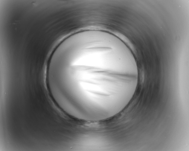 X0000088131006200706041945