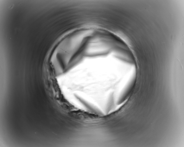 X0000088131008200706041945