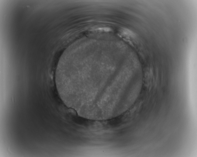 X0000088131013200706041944