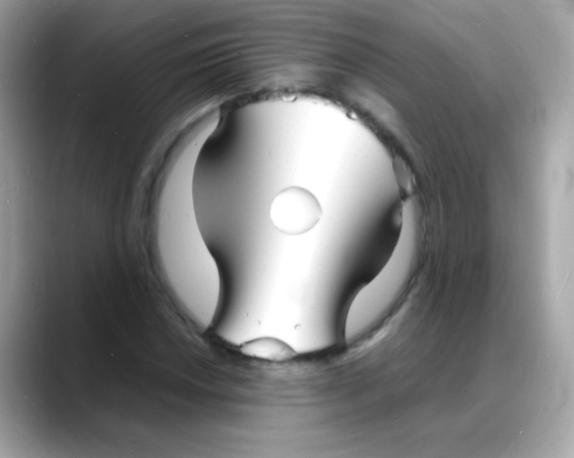 X0000088131018200706041944