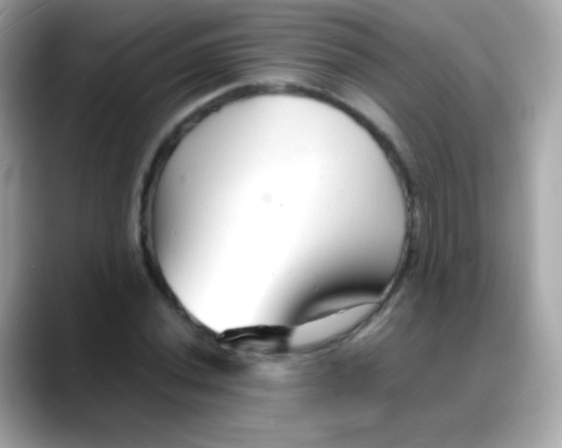 X0000088131020200706041944